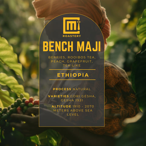 Ethiopia Bench Maji - Gesha Village Chaka