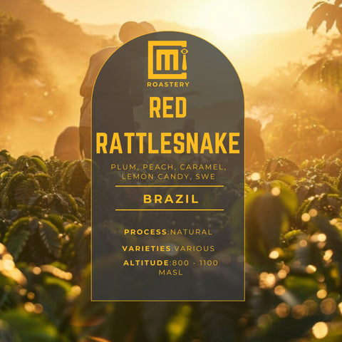 Brazil - Red Rattlesnake