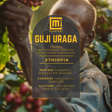 Ethiopia - Guji Uraga