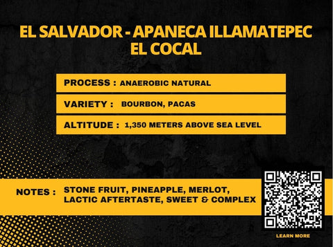 El Salvador El Cocal