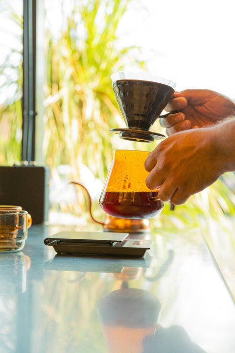 Hario Glass Coffee & Tea Server Color