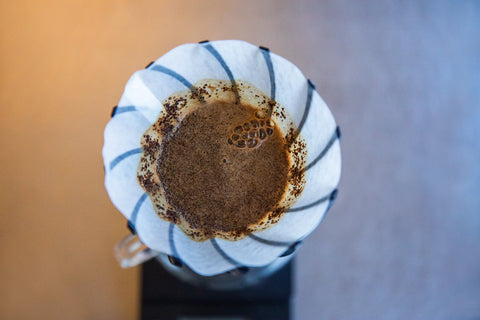 Hario V60 Suiren Coffee Dripper